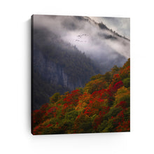 Fall Or Nothing at All