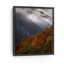 Fall Or Nothing at All