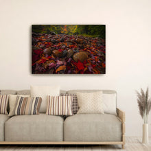 Fallen Leaves And Stones