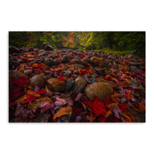 Fallen Leaves And Stones