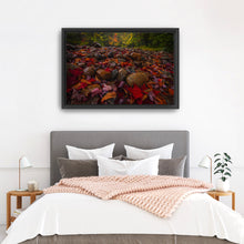 Fallen Leaves And Stones