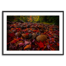 Fallen Leaves And Stones