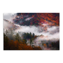 Great Smoky Mountains Fog And Foliage