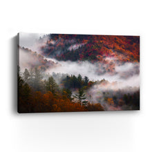 Great Smoky Mountains Fog And Foliage