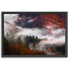 Great Smoky Mountains Fog And Foliage