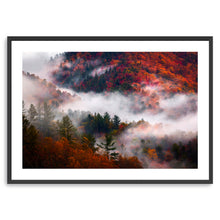 Great Smoky Mountains Fog And Foliage