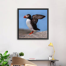 Puffin Portrait