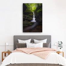 Adams Falls - Ricketts Glen - Spring