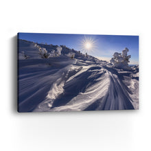 Algonquin Winter Sunstar