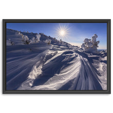 Algonquin Winter Sunstar