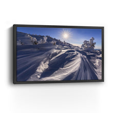 Algonquin Winter Sunstar