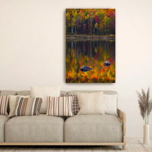 Birch Trunks Reflection - Sun and Shadow