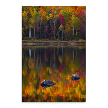 Birch Trunks Reflection - Sun and Shadow