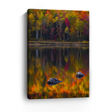 Birch Trunks Reflection - Sun and Shadow