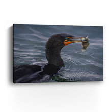 Cormorant and Fish - Maine Coast