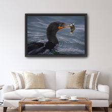 Cormorant and Fish - Maine Coast