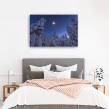 Moonstar and Snowy Tree