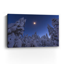 Moonstar and Snowy Tree