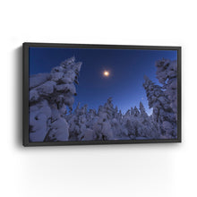 Moonstar and Snowy Tree