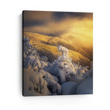 Phelps Golden Sunset Winter