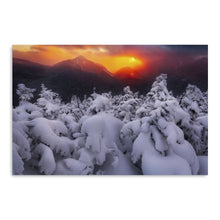 Phelps Orange Sunset With Colden