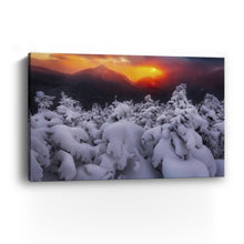 Phelps Orange Sunset With Colden