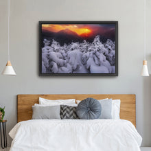 Phelps Orange Sunset With Colden