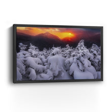 Phelps Orange Sunset With Colden