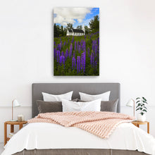 White Church and Lupines