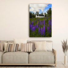 White Church and Lupines