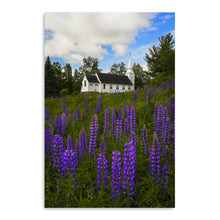 White Church and Lupines