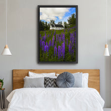 White Church and Lupines