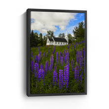 White Church and Lupines