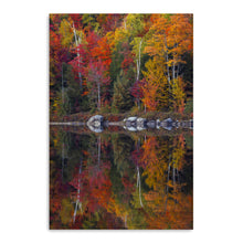 Round Pond Foliage Reflection Centered