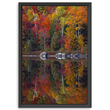 Round Pond Foliage Reflection Centered