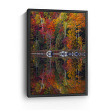 Round Pond Foliage Reflection Centered