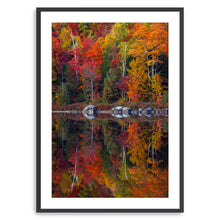 Round Pond Foliage Reflection Centered