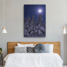 Snowy Moonlit Trees