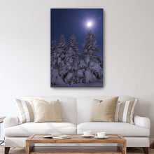 Snowy Moonlit Trees