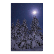 Snowy Moonlit Trees