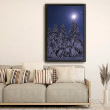 Snowy Moonlit Trees