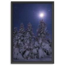 Snowy Moonlit Trees
