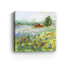 Bluebonnet Landscape