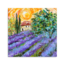 Provence Lavender Sunshine