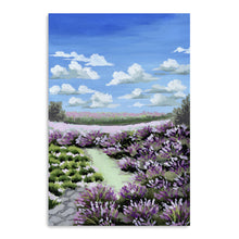 Lavender Field
