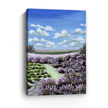 Lavender Field