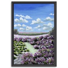 Lavender Field