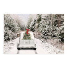 White Vintage Truck and Trees