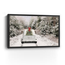 White Vintage Truck and Trees