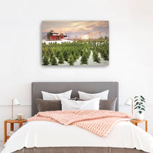 Tree Farm Red Barn Pick Your Tree